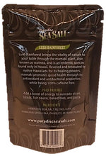 Sea Salt Lush Rainforest, 3oz